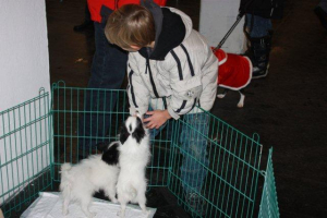 Aik und Amy Wels 2010