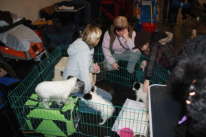 Aik, Amy und Celice Wels 2010