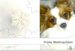 Alfi frohe Weihnachten