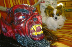 Alfi mit Krampus