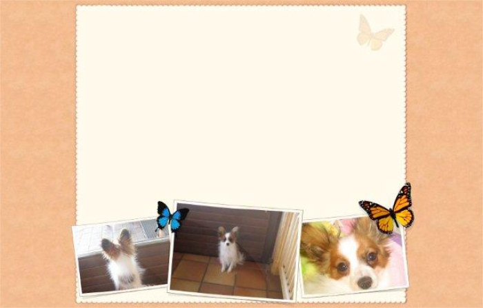 Alfi