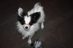 Amy 16.12.2010