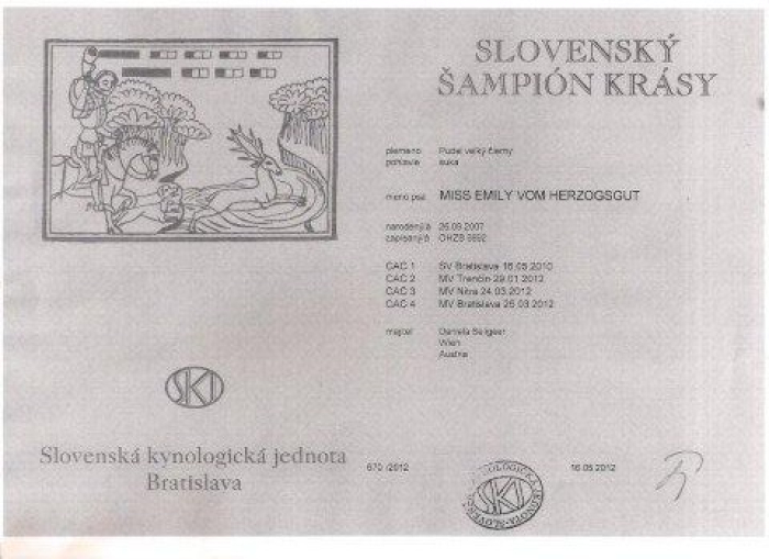 Emi Slovakischer Champion