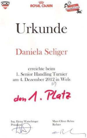 Urkunde 04.12.2010 Wels
